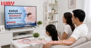 Cara Ampuh Basmi Nyamuk Aedes Aegypti denagn raket nyamuk